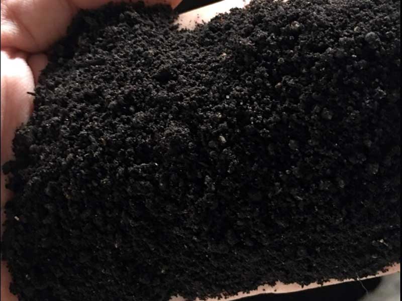 Giá than bùn 2026 sẽ có nhiều biến động