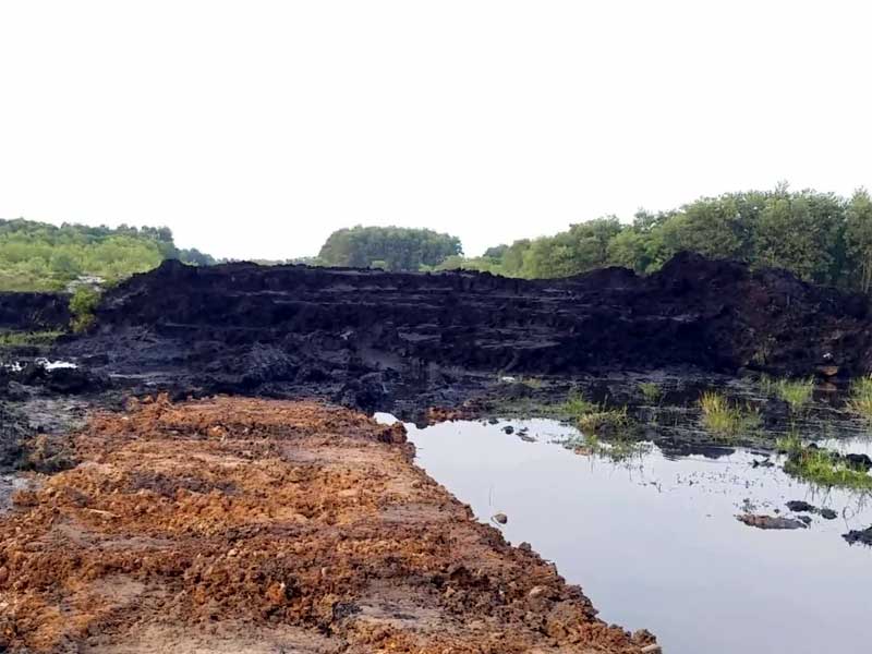 Một vị trí khai thác than bùn