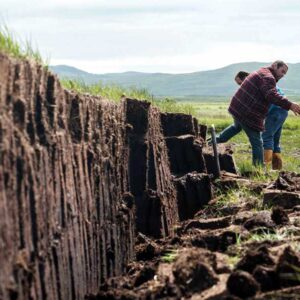 10 Tuyệt chiêu săn hàng giá rẻ khi giá than bùn 2026 biến động mạnh