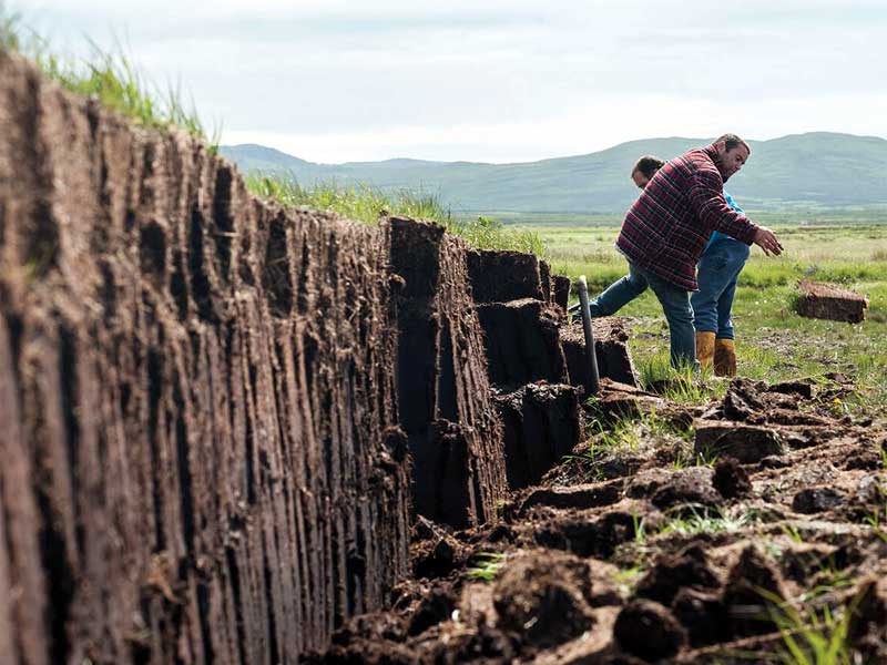 10 Tuyệt chiêu săn hàng giá rẻ khi giá than bùn 2026 biến động mạnh