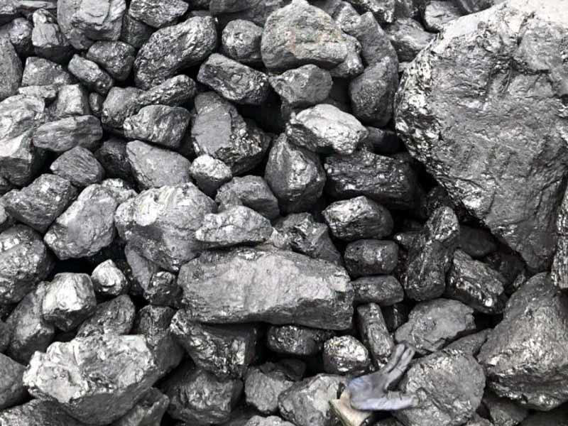 Chấn Động: Xu Hướng Giá Than Thế Giới 2026 Dự Báo Giảm 20% – Cơ Hội Vàng Để Tích Trữ Nhiên Liệu!